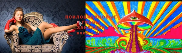таблы Володарск